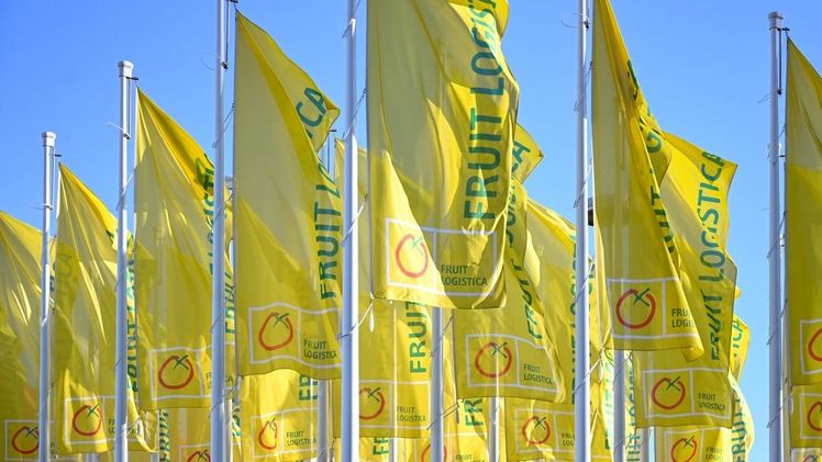 Die FRUIT LOGISTICA in Berlin. Bild: © Messe Berlin GmbH.