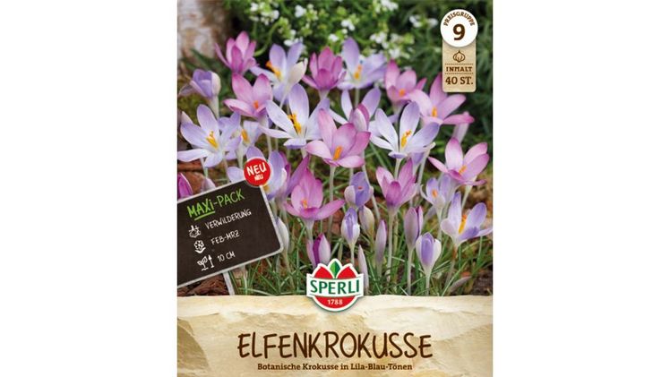 Maxi-Pack 'Elfenkrokus Mix. Bild: © SPERLI GmbH / www.sperli.de. 