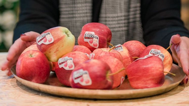 Gesunde Snacks mit Biss liefert die Apfelsteckleiste unter dem witzigen Titel „AXELs Beißschiene“. Bild: ©Sina Uhlenbrock.
