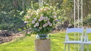 Die neue Lisianthus 'Lisanne Soft Pink'. Bild: Sakata.