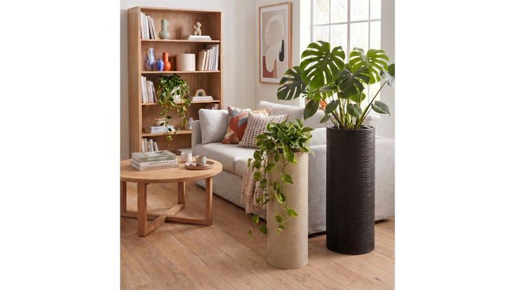 Calma aus dem hochwertigen Kunststoff Garduro passt perfekt in jedes Green Living. Bild: Scheurich.