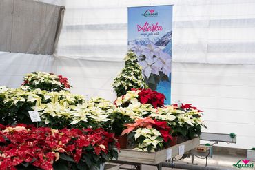 Impressionen von den Open Days bei Lazzeri. Bild: Lazzeri.