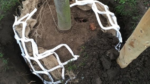 Das Lite-Net ist nach fünf bis zehn Jahren zu 100% biologisch abbaubar. Bild: Agro de Arend.