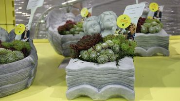 SILBER für das Konzept ‘Fabulous Fat Friends’. Bild: VLAM.