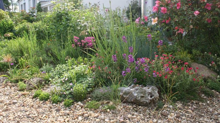 Statt Schotterwüsten sind "echte" Kiesgärten auch im eigenen Vorgarten möglich. Bild: GPP/GDS.