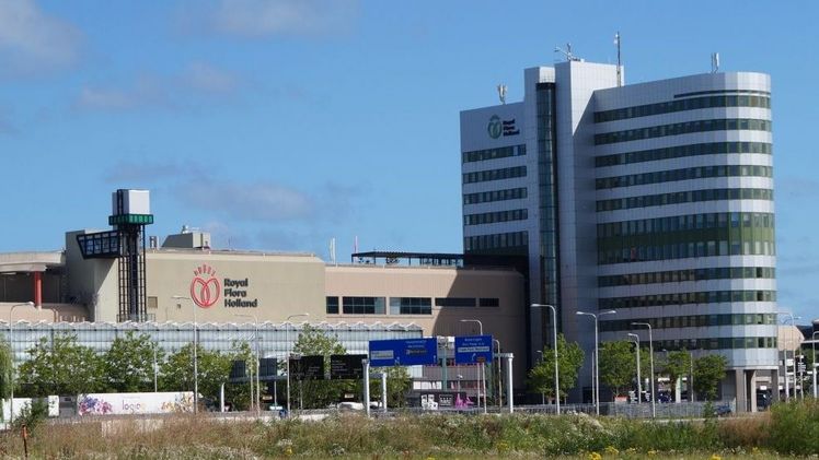 Ab sofort kann Royal FloraHolland alle deutschsprachigen Erzeuger und Käufer noch besser bedienen. Bild: Royal FloraHolland.