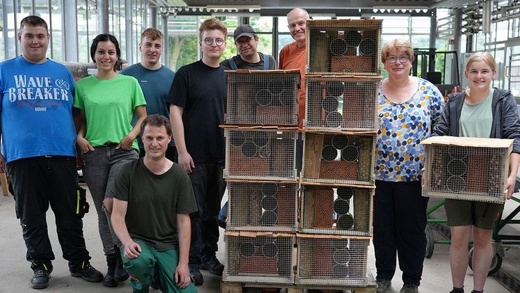 LWG-Azubis bauen Nisthilfen für Wildbienen. Bild: Jeannine Steinkuhl, LWG Veitshöchheim.