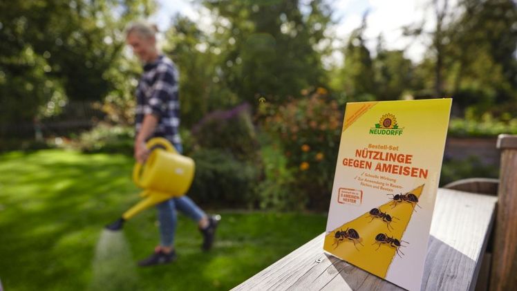 Nie wieder Ameisen im Garten – mit der natürlichen Power der SF-Nematoden von Neudorff. Bild: Neudorff. 