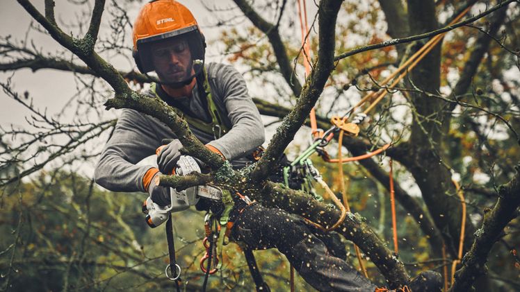 Der STIHL GTA 40 ist der erste Gehölzschneider im STIHL Portfolio für professionelle Anwendung. Er verbindet geringes Gewicht und kompakte Bauform mit hoher Schnittleistung und ermöglicht die Baum- und Gehölzpflege am Boden genauso wie Pflege- und Korrekturschnitte im Baum durch kletternde Baumpfleger. Bild: STIHL.