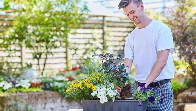 Der Balkon blüht auf: Ein Pflanzkasten mit bunten Sommerblumen sorgt im Nu für gute Laune. Bild: GMH/FGJ.