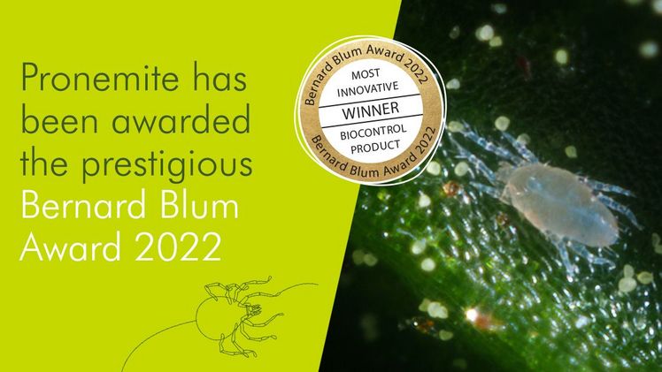 Pronemite ist eine neue Kategorie kommerzieller Arthropoden-Biokontrollmittel, die gleichzeitig einen wichtigen Schädling, die Rostmilbe, und eine problematische Pilzkrankheit, den Echten Mehltau, bekämpfen. Bild: Biobest.