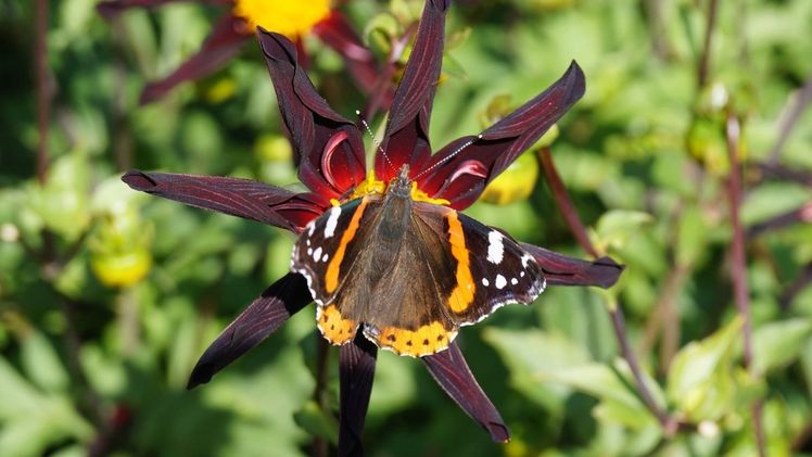 Nachhaltige Praktiken sollten konsequent in das Tagesgeschehen integriert sein. Bild: GABOT. Nachhaltige Praktiken sollten konsequent in das Tagesgeschehen integriert sein. Bild: GABOT.