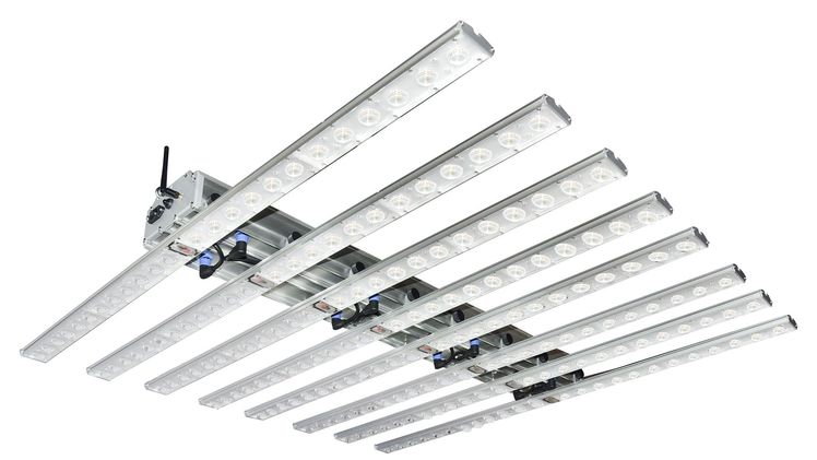 Engel Lighting bietet professionelle LED Gartenbauleuchten. Bild:Engel Lighting.