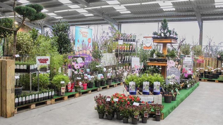 Fokus Baumschule wird in die Ordermessen-Serie integriert. Bild: Landgard.