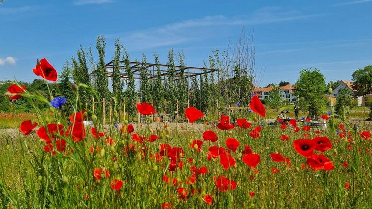 Eröffnung der Landesgartenschau Wangen unter dem Motto 'kunter, bunter, munter'. Bild: © Tarja Prüs / LGS Wangen GmbH.