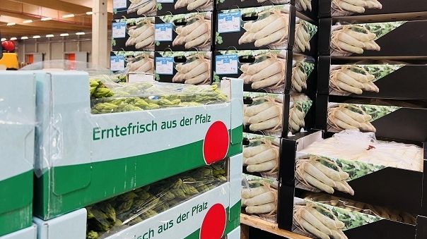 Das wechselhafte Wetter im bisherigen Saisonverlauf führt zu extrem schwankenden Tageserntemengen. Bild: Pfalzmarkt eG.