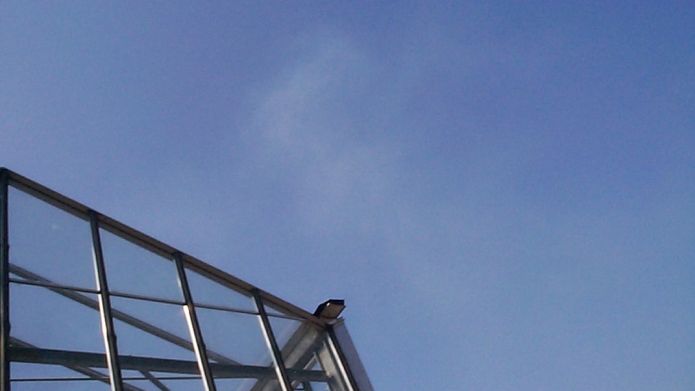 Der Niederschlag ist im Jahr 2018 40% geringer ausgefallen. Bild: GABOT.