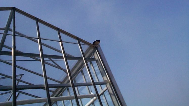 Juni 2017 war einer der wärmsten Monate seit 1881. Bild: GABOT.