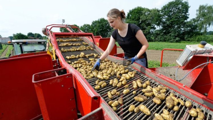 Regional bleibt erste Wahl. Bild: Landpixel.
