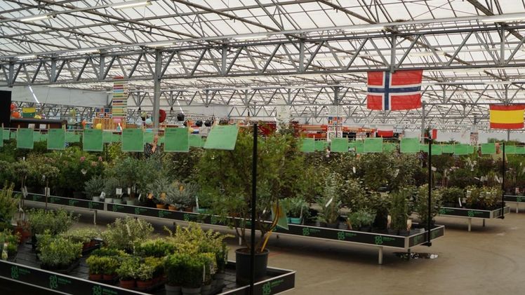 Die PLANTARIUM|GROEN-Direkt bietet das volle Sortiment. Bild: GABOT.