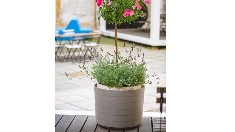Der selbstbewässernde großvolumige Blumentopf Berberis 55. Bild: Plastia.