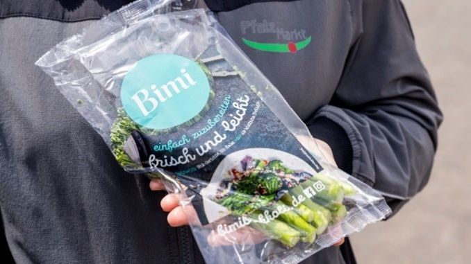 Neu und exklusiv als Spezialität im Angebot bei Pfalzmarkt eG: Bimi® Brokkoli ist eine besondere Brokkoli-Sorte, die zarter als marktüblicher Brokkoli ist und deswegen im Ganzen verzehrt werden kann. Der leckere Stangenbrokkoli kommt ursprünglich aus Japan und ist für Endverbraucher im praktischen 200-g-Beutel erhältlich. Für Großverbraucher aus der Gastronomie sind seit kurzem spezielle Gastrogrößen verfügbar. Bildnachweise: Pfalzmarkt eG