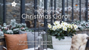 Die neue Christmas Carol-Endverbraucher-Webseite. Bild: Syngenta Flowers.