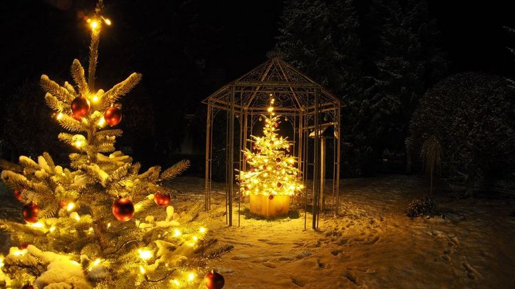 Bäume im Außenbereich steigern nicht nur das eigene Wohlbefinden und das der Familie, sondern stimmen auch Nachbarn und Spaziergänger auf die Festtage ein. Bild: VNWB.