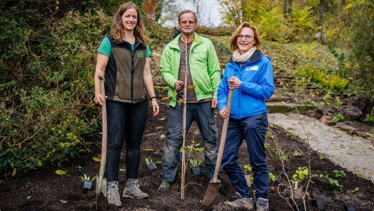 Neue Demonstrationsfläche im egapark entsteht.  Bild: Stadtwerke Erfurt Gruppe.