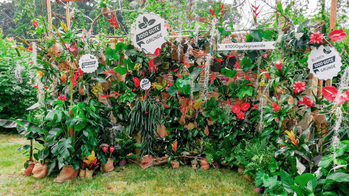  1000 Gute Gr nde Blumiger Abiturabschluss Gabot de
