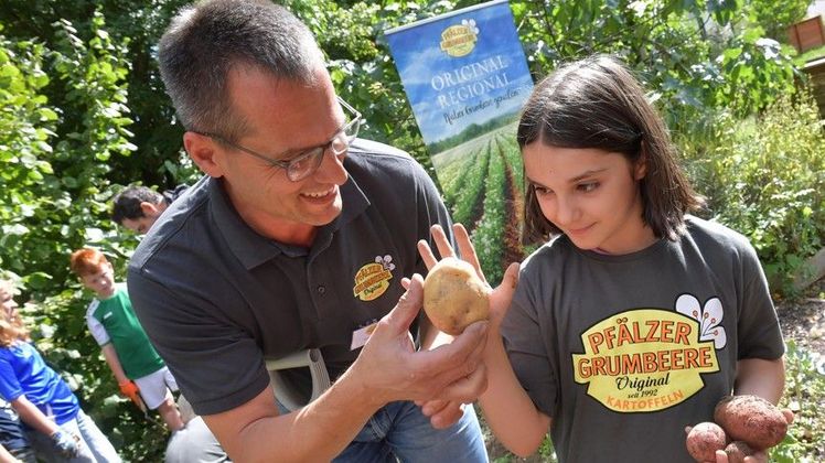 Bundesweite Schulgartenprojekt „Kids an die Knolle". Bild: kerstin.hesel.