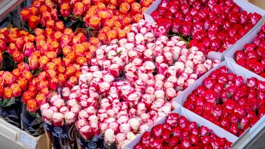Spitzenreiter war am Valentinstag wie immer die Rose. Bild: Royal FloraHolland.