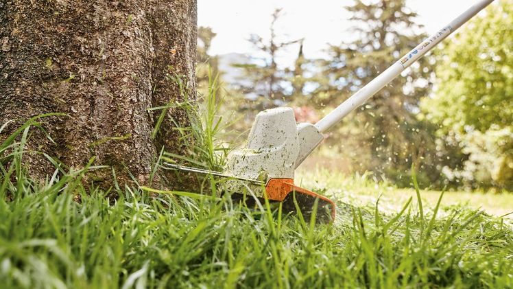 Die durchzugsstarke Akku-Motorsense STIHL FSA 57 trimmt Rasenkanten und schwierig erreichbaren Grünbewuchs rund um Bäume und Sträucher schnell und komfortabel. Bild: STIHL.
