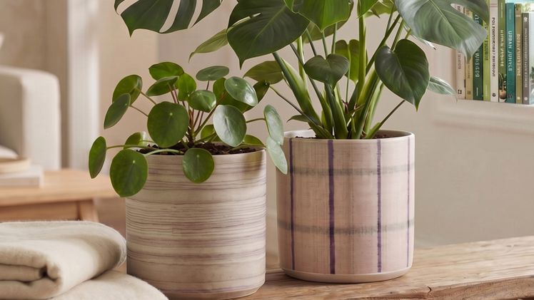 Raw Timber und Raw Canvas von Scheurich. Bild: Scheurich.
