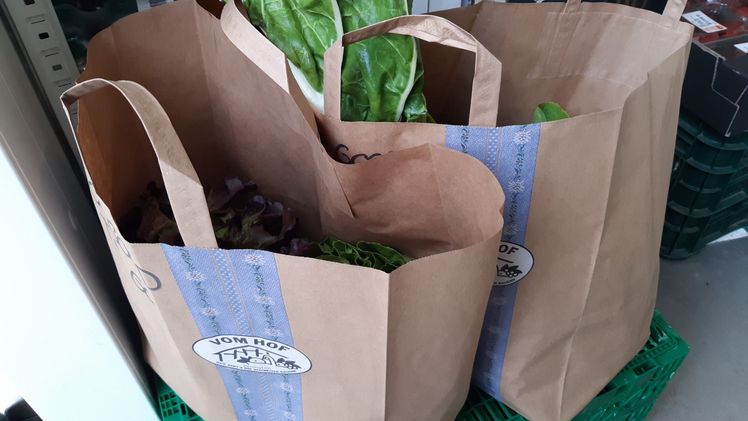 Aline Gerber bot zunächst über Too Good To Go Überraschungspäckli an. Nun vertreibt sie das nicht verkaufte Gemüse über eine Whats-App-Gruppe. Bild: Aline Gerber.