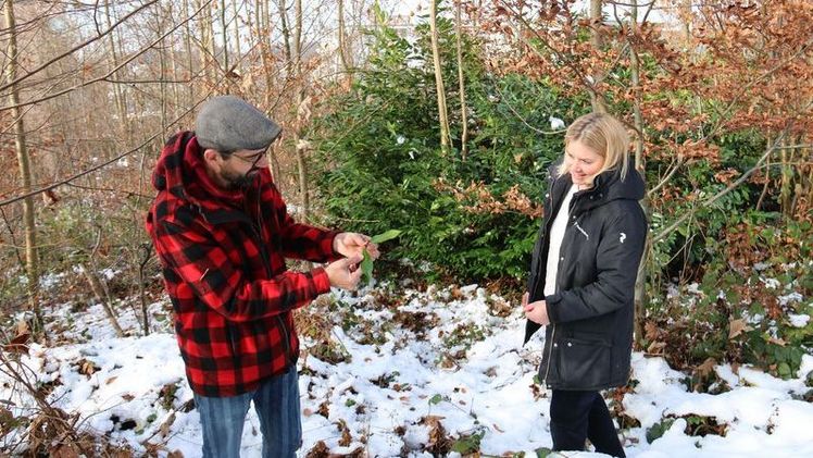 Urs Kamm macht sich zusammen mit Bianca Saladin ein Bild von der Neopyhten im Wald. Bild: bhg.