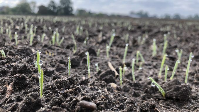 Am 5. Dezember ist der Tag des Bodens Bild: Landvolk Niedersachsen.
