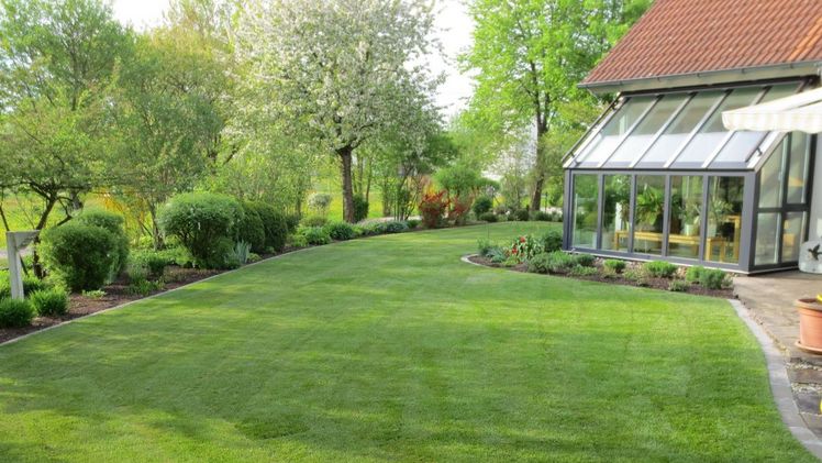 Schnelles Grün zum kleinen Preis Bild: Schwab Rollrasen GmbH