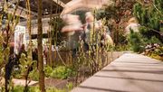 Die Giardina 2023 zeigte authentische Gartenkonzepte. Bild: MCH Messe Schweiz (Zürich) AG.