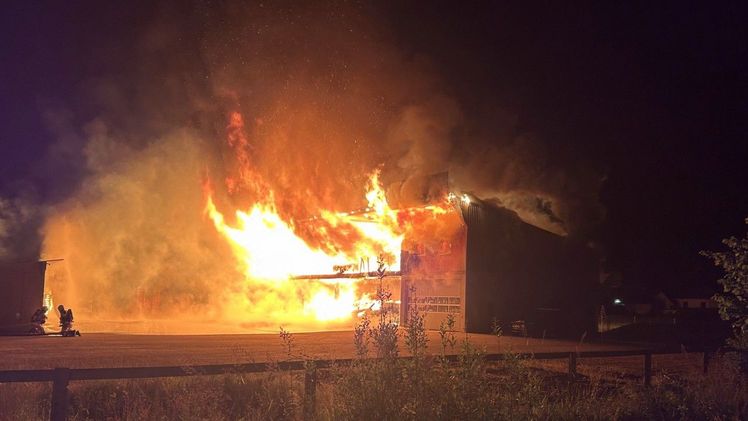 Brand zerstört fast ganzes Gärtnereigebäude. Bild: Kantonspolizei Aargau.