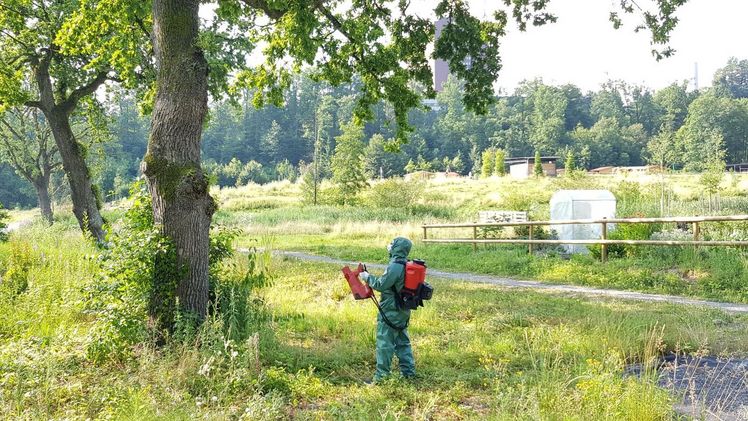 Mit der großen Sprühweite und hohen Zielgenauigkeit können mit AS 1200 auch höhere Bäume effektiv und umweltfreundlich behandelt werden. Bild: Birchmeier Sprühtechnik AG.