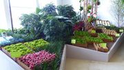 Impression von der ersten Hallenschau. Bild: DBG.