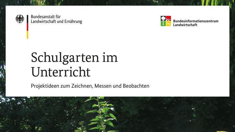 Die neue BZL-Broschüre "Schulgarten im Unterricht – Projektideen zum Zeichnen, Messen und Beobachten" ist ab sofort erhältlich. Bild: BZL.