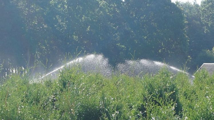 Wasser ist lebenswichtig und eine kostbare Ressource. Bild: GABOT.