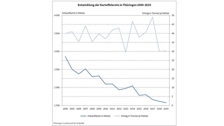 Entwicklung der Kartoffelernte in Thüringen 2004-2019. Bild: TLS.