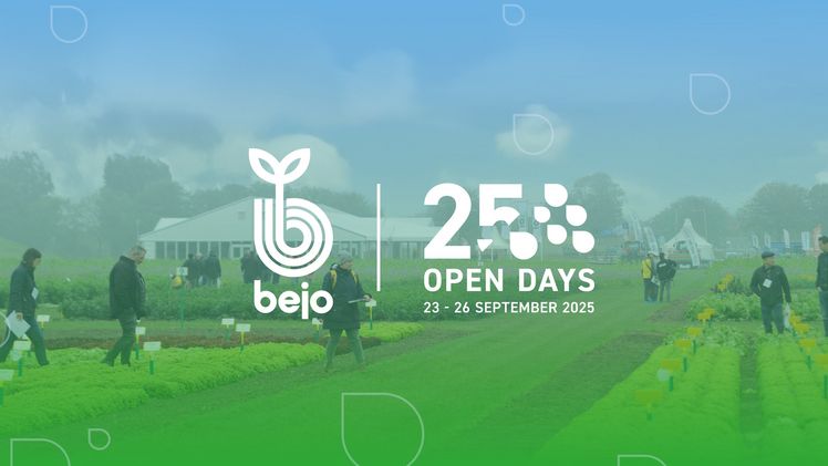 Bejo Open Days 2025: Innovation bei Gemüsesorten, Saatgutforschung und Agrartechnik.Grafik: Bejo. Bejo Open Days 2025: Innovation bei Gemüsesorten, Saatgutforschung und Agrartechnik.Grafik: Bejo.
