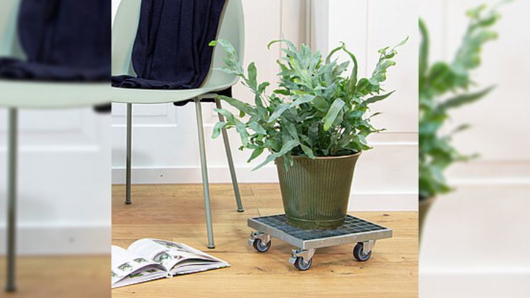 Klassische Gitterrost-Roller. Bild: Wagner.