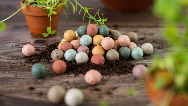 Blossombs sind farbenfrohe Blumenbomben, gefüllt mit Bio-Wildblumensamen und 100% natürlichen Zutaten. Bild: Blossombs.