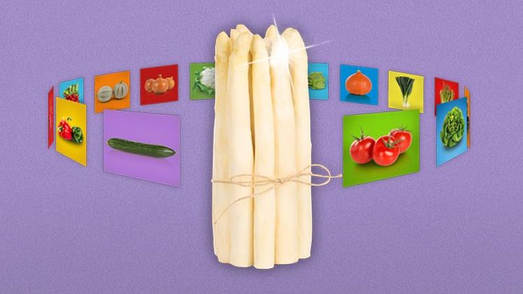 Enza Zaden stellt erstmals weiße Spargelsorte vor. Bild: Enza Zaden.