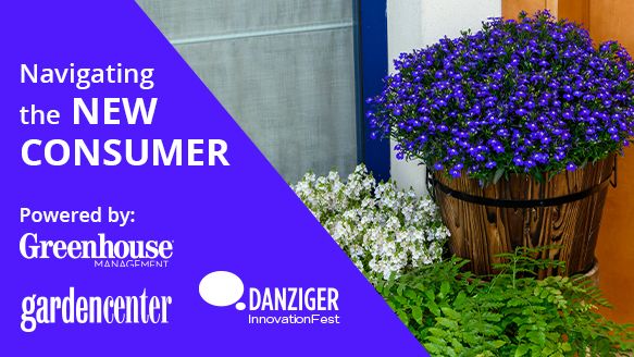 Das Danziger Webinar findet am 27. Oktober 2022 statt. Bild: Daniziger.